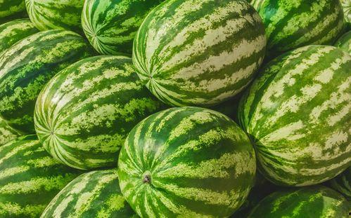 福州文教吃瓜,品味美食,畅谈教育,一网打尽“吃瓜”趣事