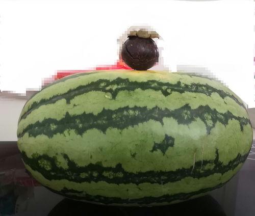 大家吃瓜为宜,揭秘娱乐圈那些事儿