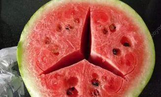 吃瓜蒙主争议切片,揭秘网络舆论背后的真相