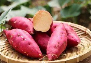 吃瓜不瓜地瓜,揭秘地瓜的神奇魅力