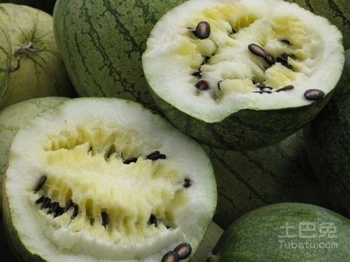 河南人吃籽瓜,舌尖上的乡愁与美食传承