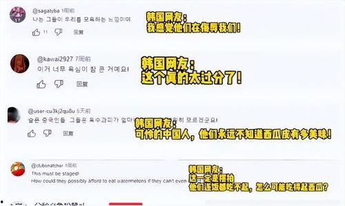 开直播讲吃瓜,吃瓜群众的美食盛宴