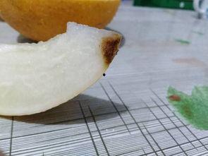 哈密瓜切开吃还是削皮吃,是切开享用还是削皮品尝？