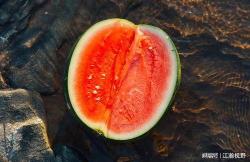 长期吃瓜,揭秘长期吃瓜者的生活轨迹