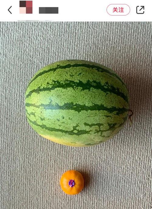 地球吃瓜256,揭秘256颗神秘“吃瓜”星球之谜