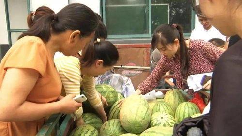 村里吃瓜搞笑视频,吃瓜视频里的欢乐时光