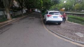 吃瓜充值,网络热词背后的消费现象