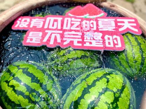 吃瓜现场布置,一场视觉与味觉的盛宴