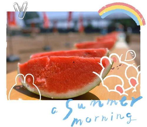 吃瓜现场布置,一场视觉与味觉的盛宴