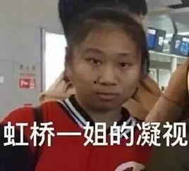 今夏吃瓜看戏视频,笑料百出，精彩纷呈