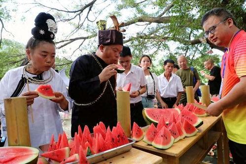 潍坊吃瓜节活动信息,夏日狂欢，瓜果飘香，尽享田园盛宴