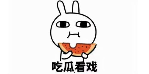 吃瓜简介文案短句