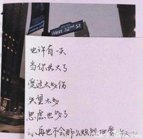 吃瓜简介文案短句