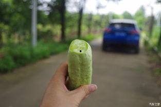 吃瓜不忘劈瓜人