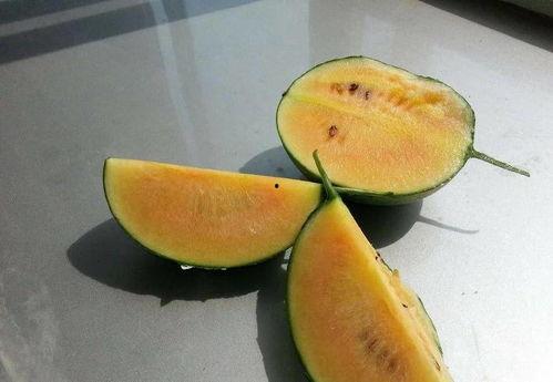 彩虹吃瓜所有视频,揭秘热门视频背后的精彩故事