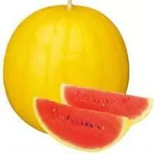 彩虹吃瓜所有视频,揭秘热门视频背后的精彩故事