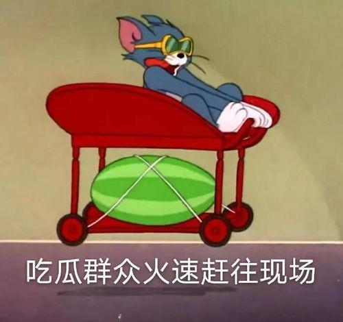 吃瓜头像双人,揭秘吃瓜头像背后的双生之谜