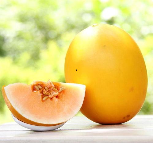 宝宝可以吃金蜜瓜,金蜜瓜营养美味，助力宝宝健康成长