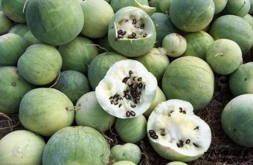 今日全球吃瓜,今日热点事件大盘点