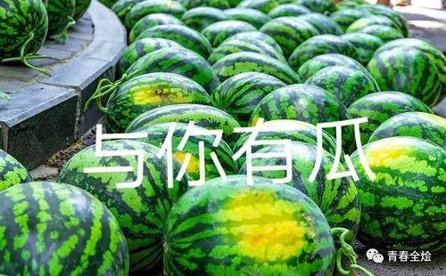 最新学校吃瓜,揭秘最新学校吃瓜事件背后的真相