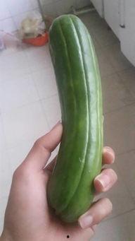 油管吃瓜搜什么,揭秘热门视频背后的秘密