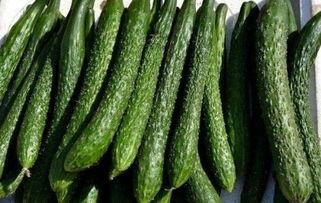 油管吃瓜搜什么,揭秘热门视频背后的秘密