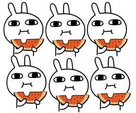 吃瓜队获胜口号