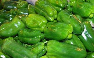 瓜和辣椒能一起吃吗,健康饮食的智慧选择