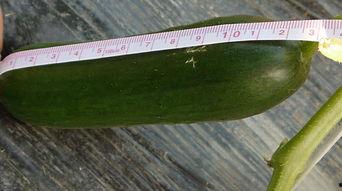 吃瓜新鲜事儿,最新娱乐圈新鲜事儿大盘点