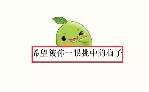 是吃瓜社团,网络时代的娱乐风向标