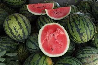 吃瓜趴,吃瓜趴背后的真相与内幕