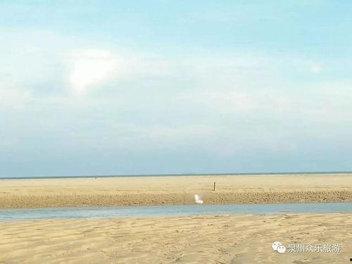 ocean小海吃瓜,揭秘海洋生物的趣味食性