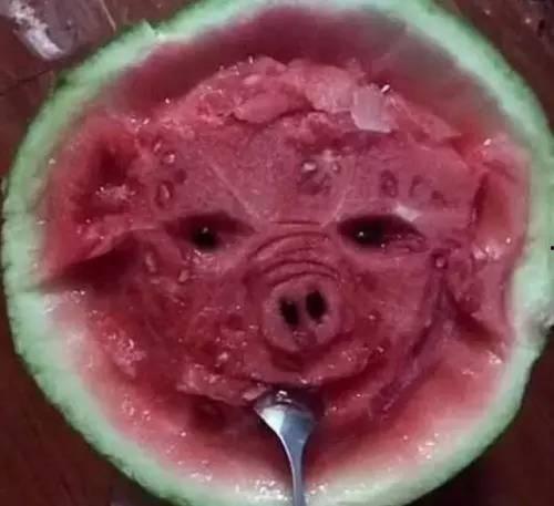 bomb吃瓜艺术,揭秘吃瓜艺术的独特魅力