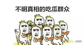 吃瓜群众颠覆三观,吃瓜群众眼中的娱乐圈真相大揭秘