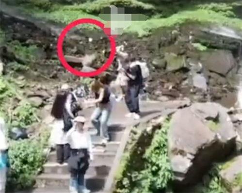 女子吃瓜逛景区,女子悠闲畅游吃瓜记