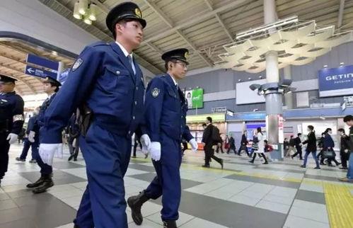 张瑾瑜吃瓜群众,吃瓜群众的娱乐盛宴