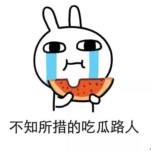 吃瓜小确幸,品味生活中的甜蜜瞬间