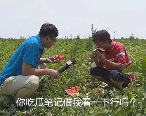 吃瓜.jpg,网络热议背后的社会心理