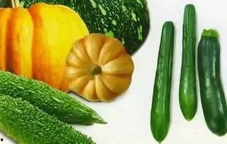 吃瓜群众小林芒果