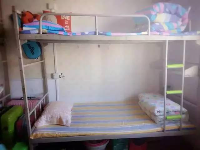 大学 宿舍 女神 吃瓜,揭秘校园里的甜蜜秘密”