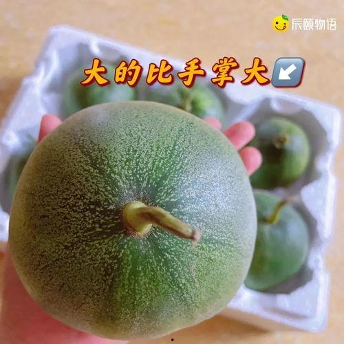 北流石瓜怎么吃,解锁夏日清新美味的多重吃法