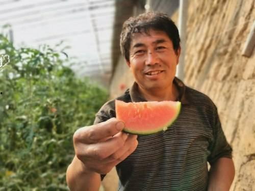 商河吃瓜群众,揭秘当地生活百态