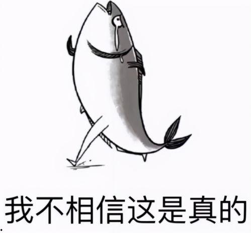 咸鱼吃瓜包,揭秘网络热词背后的趣味与内涵