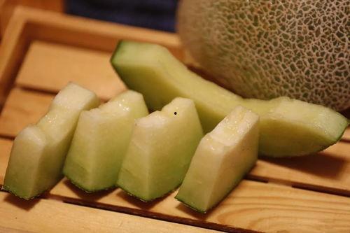 吃瓜看戏的松树