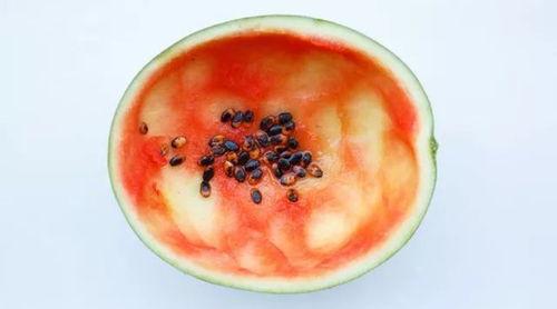 专用吃瓜铁勺是什么,夏日消暑新宠