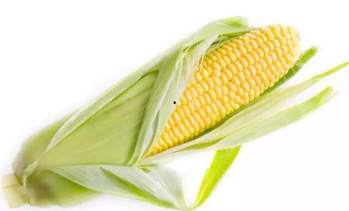 吃瓜小玉米,揭秘娱乐圈那些不为人知的幕后故事