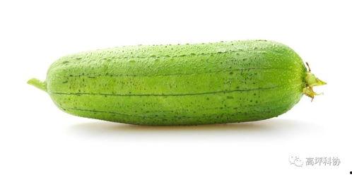 适合4月吃的瓜,四月时令瓜果盛宴