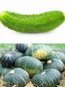 面瓜哪些可以吃,盘点哪些面瓜部位可食用