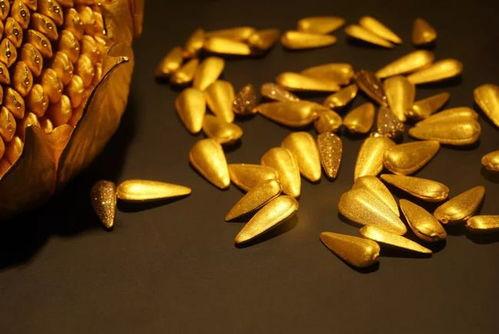 吃瓜的金子,揭秘娱乐圈背后的真相与笑料