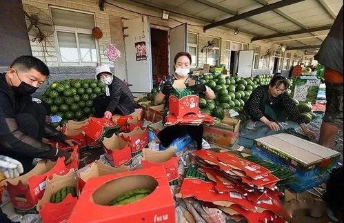 海门吃瓜群众,揭秘当地生活百态